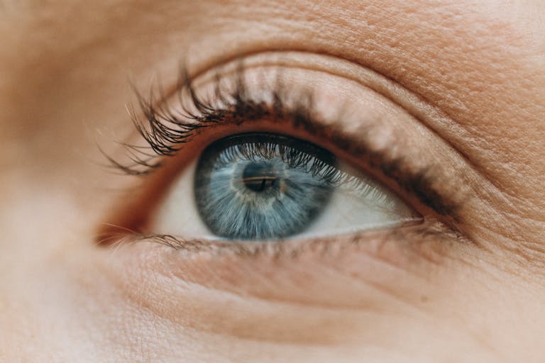 Detailed close-up macro photograph of a human eye with blue iris and prominent eyelashes.